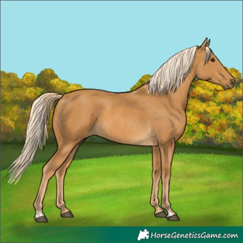 Horse Color:Palomino  and Palomino 