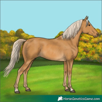 Horse Color:Palomino  and Palomino 