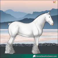 Horse Color:Silver Perlino Dun