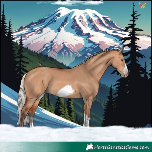 Horse Color:Silver Bay Dun Sabino Tobiano Frame Rabicano