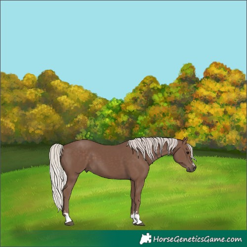 Horse Color:Silver Black 