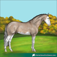 Horse Color:Brown Dun Sabino Splash