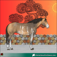 Horse Color:Buckskin Sabino 