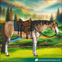 Horse Color:White Spotted Buckskin Rabicano 