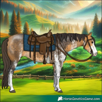 Horse Color:White Spotted Buckskin Rabicano