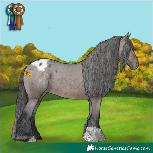 Horse Color:Brown Dun Varnish 