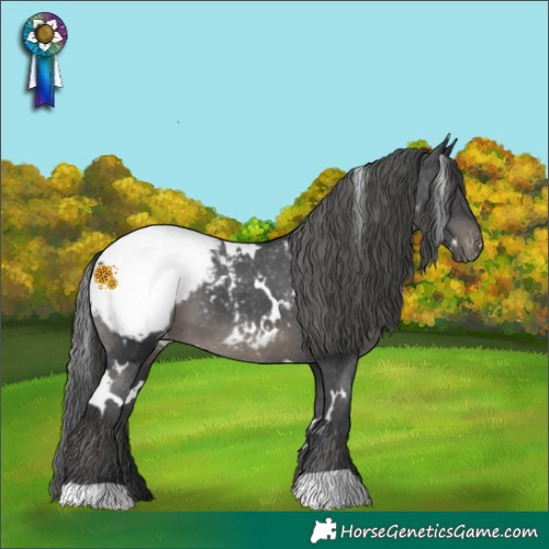 Horse Color:White Spotted Black Mushroom Snowcap 