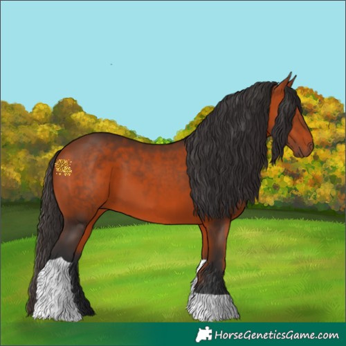 Horse Color:Bay Tobiano 