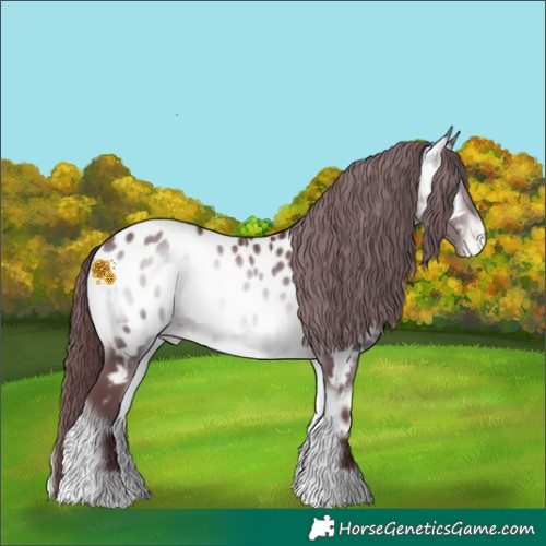 Horse Color:Chocolate Brown Chinchilla Onyx Near Leopard 