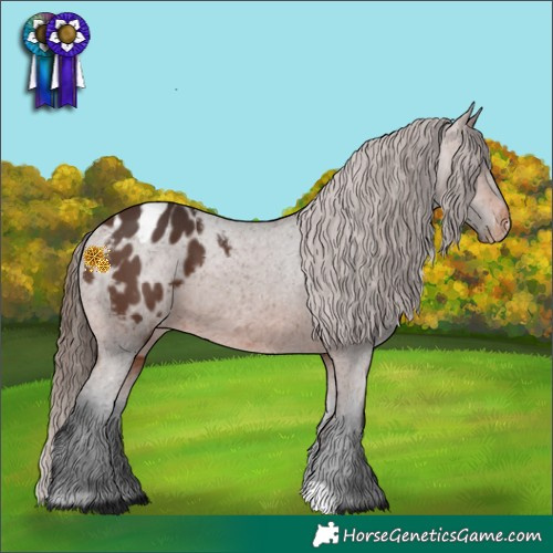 Horse Color:Brown Varnish 