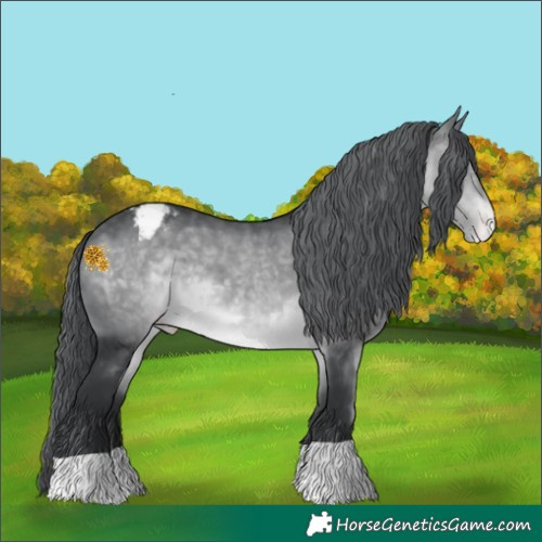 Horse Color:Brown Chinchilla Varnish 