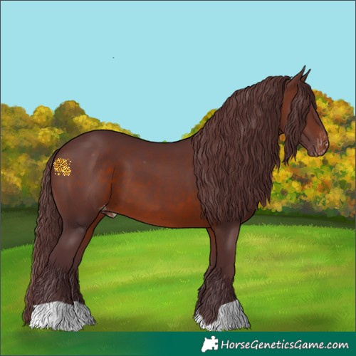 Horse Color:Chocolate Brown Varnish 