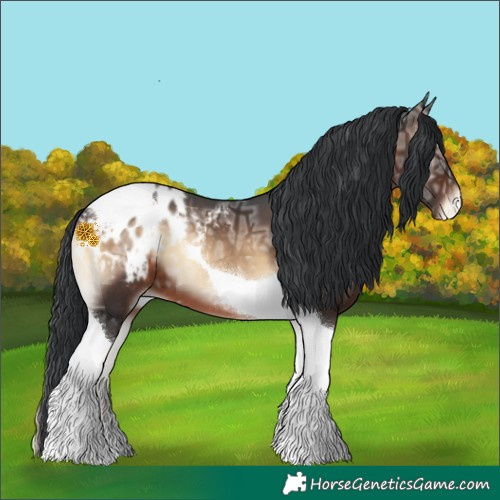 Horse Color:Brown Ice Onyx Tobiano Appaloosa 