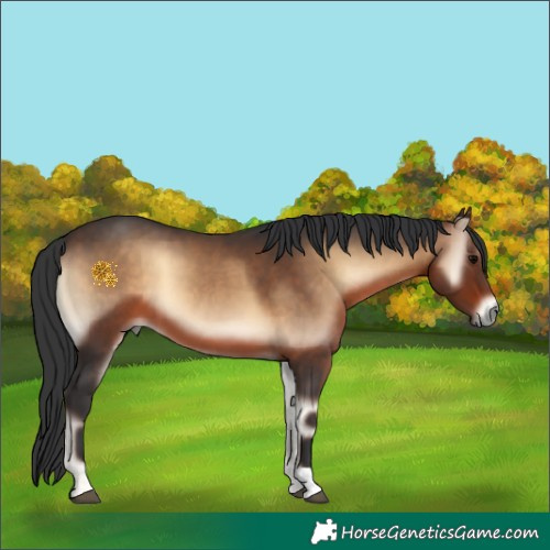 Horse Color:Brown Onyx 