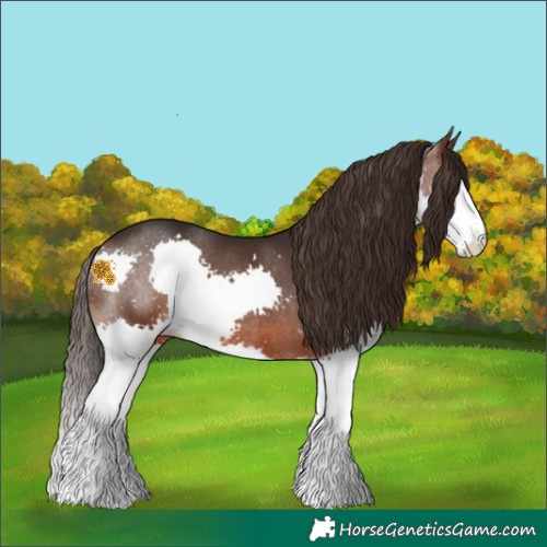 Horse Color:Brown Splash Varnish 