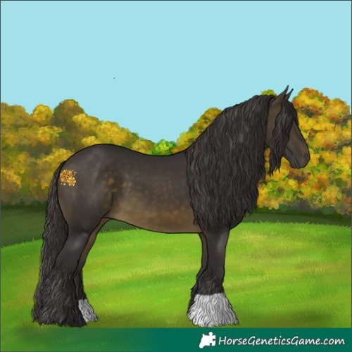 Horse Color:Buckskin 