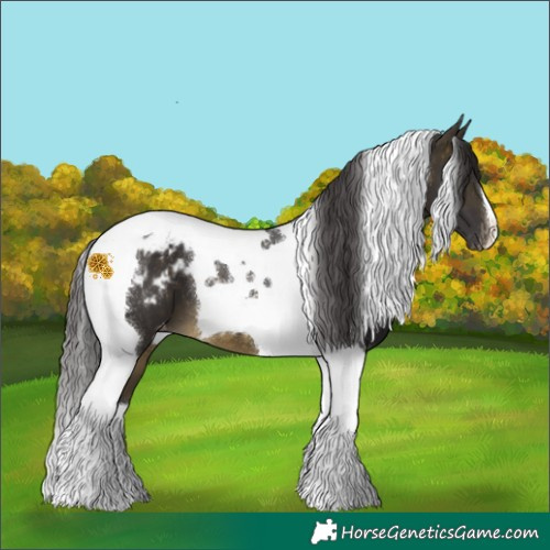 Horse Color:Buckskin Tobiano Blanket 