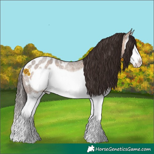 Horse Color:Bay Roan Dun Splash Frame Appaloosa 