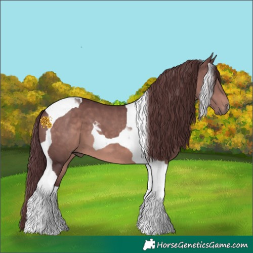 Horse Color:Platinum Chocolate Brown Tobiano 