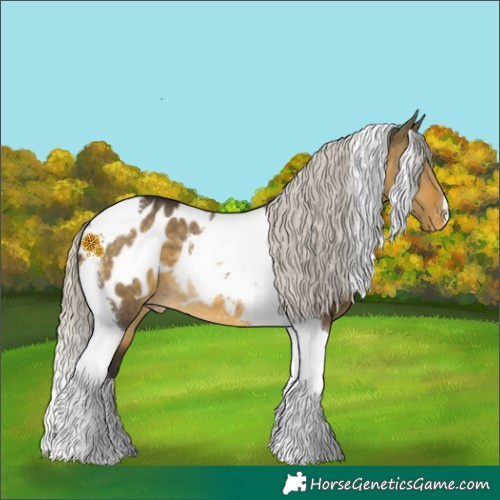 Horse Color:Silver Buckskin Dun Tobiano Blanket 