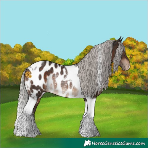 Horse Color:Silver Brown Tobiano Near Leopard Rabicano 