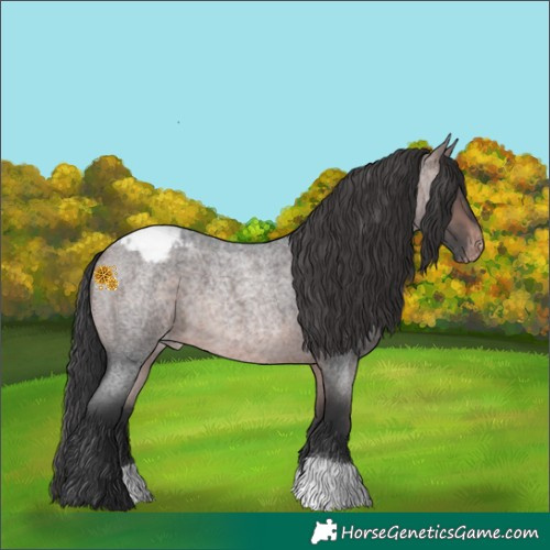 Horse Color:Platinum Bay Roan Blanket 