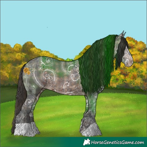 Horse Color:Plaid Brown Ice Appaloosa