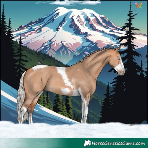 Horse Color:Silver Bay Dun Sabino Tobiano Frame Rabicano 
