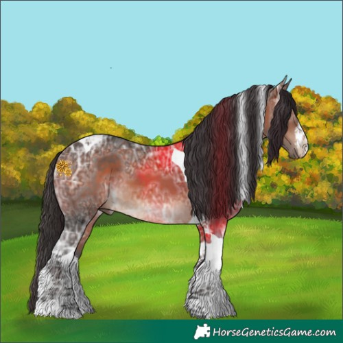 Horse Color:White Spotted Bay Ice Tobiano 