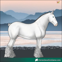 Horse Color:Silver Perlino Dun
