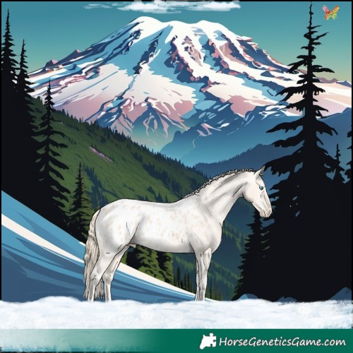 Horse Color:Perlino Appaloosa 