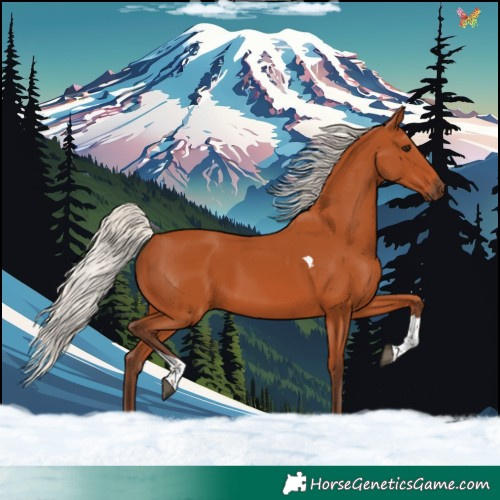 Horse Color:Silver Bay Tobiano 