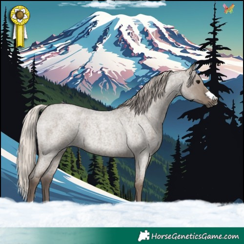Horse Color:Silver Grullo Roan 