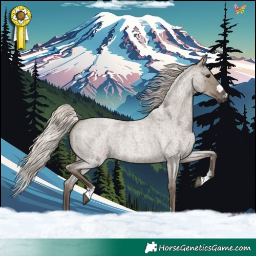Horse Color:Silver Grullo Roan 