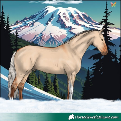 Horse Color:Silver Bay Dun Tobiano 