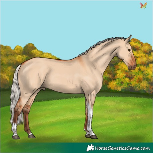 Horse Color:Silver Bay Dun Tobiano 