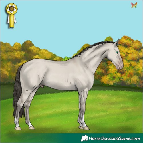 Horse Color:Classic Cream Champagne Dun Tobiano 