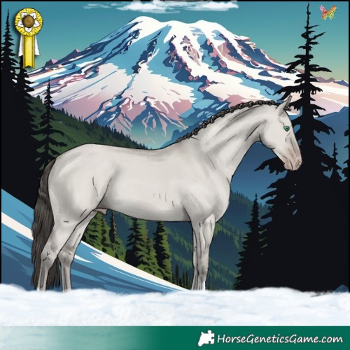 Horse Color:Classic Cream Champagne Dun Tobiano 