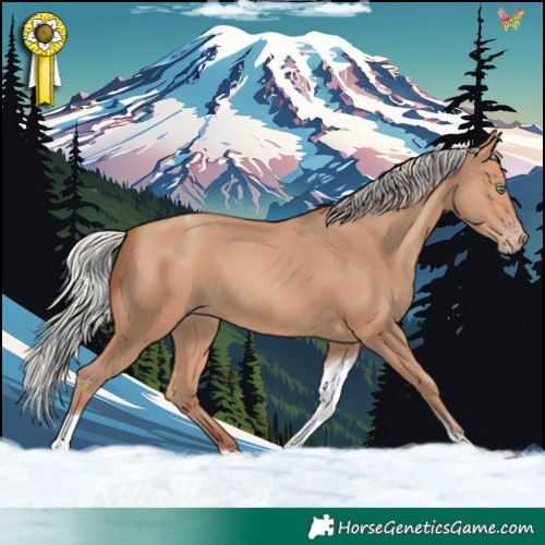 Horse Color:Silver Amber Champagne Tobiano 