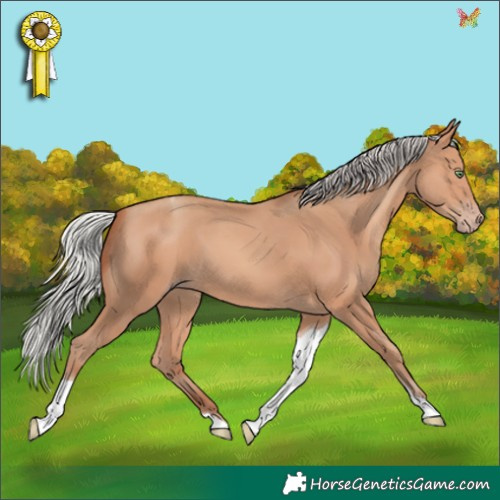 Horse Color:Silver Amber Champagne Tobiano 