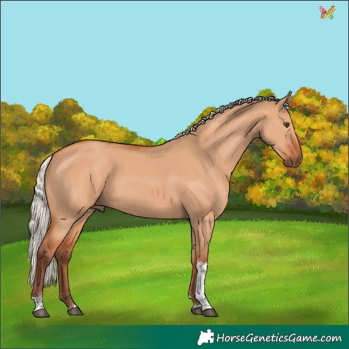Horse Color:Silver Bay Dun Tobiano 