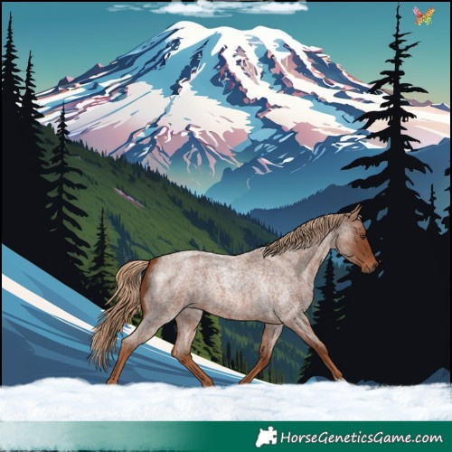 Horse Color:Red Roan 