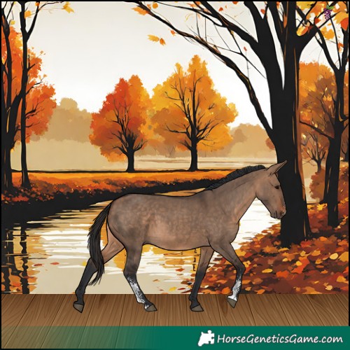 Horse Color:Bay Dun Sabino Rabicano 