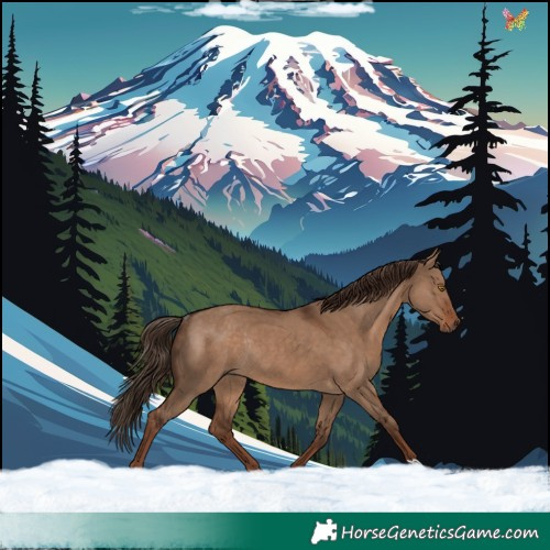 Horse Color:Liver Red Dun Rabicano 