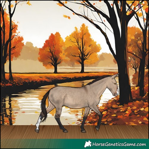 Horse Color:Brown Dun Sabino Rabicano 