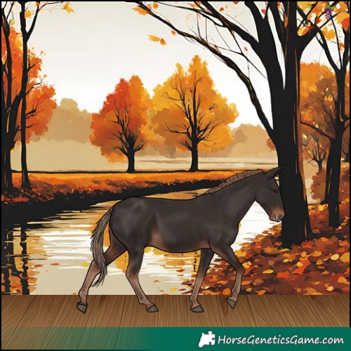 Horse Color:Liver Chestnut 