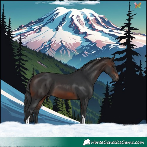 Horse Color:Brown Tobiano 