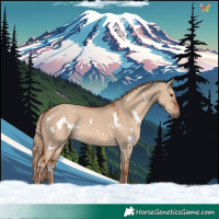 Horse Color:White Spotted Red Dun 