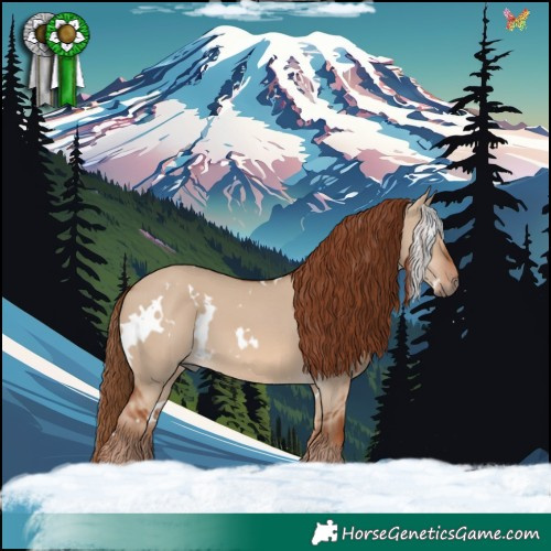 Horse Color:White Spotted Red Dun 