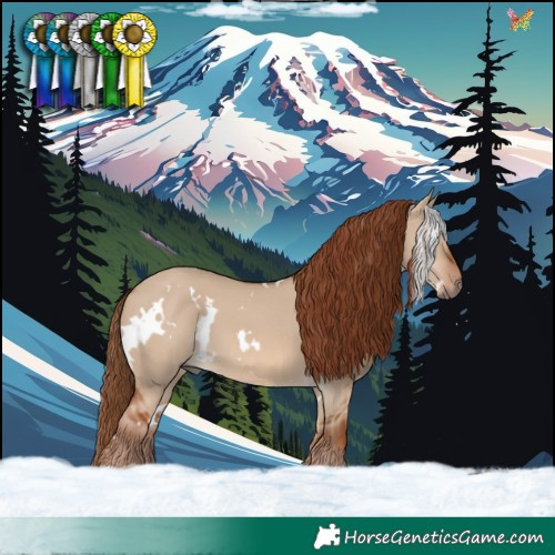 Horse Color:White Spotted Red Dun 